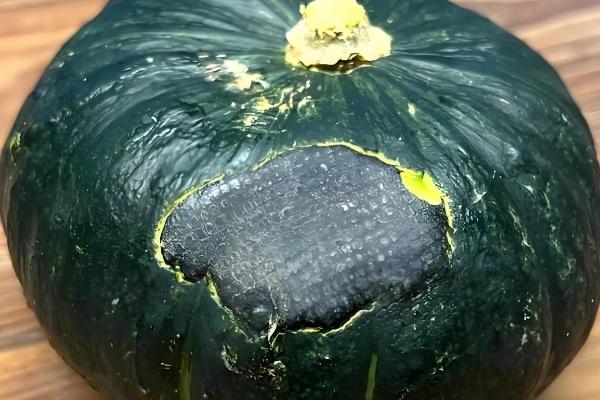 提高南瓜结瓜率的方法，引蔓上架可使坐瓜率提高40%以上