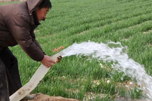 韭菜病虫害的防治方法,发生疫病可喷施甲霜灵等药物