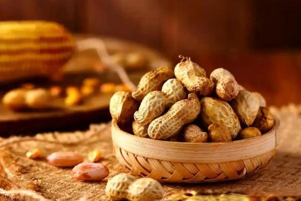 花生收后怎么防霉变，贮藏期间必须干燥、通风