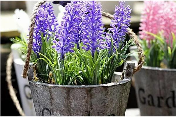 薰衣草用哪种土壤种植，以深厚肥沃、疏松透气、富含硅钙质的土壤为宜