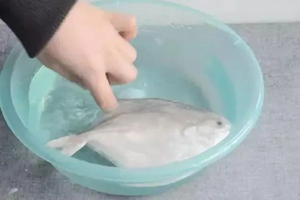 鱼肚朝上还活着的原因，说明它失鳔了