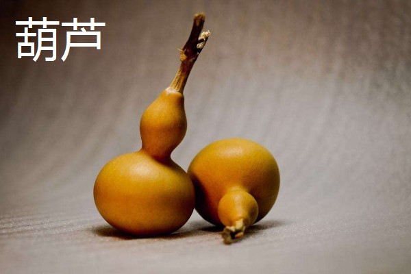 有什么冷门的致富项目，葫芦、荞头等作物值得考虑