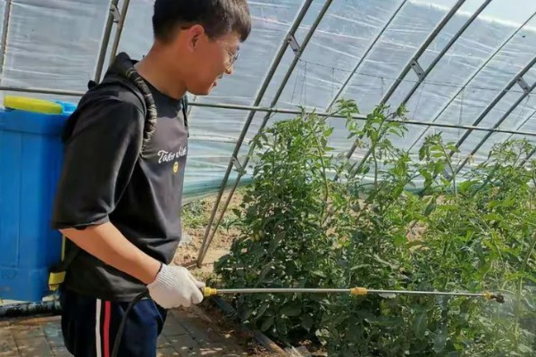 恶霉灵如何使用，可浸种也可拌种