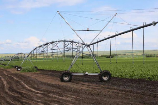 恶霉灵如何使用，可浸种也可拌种