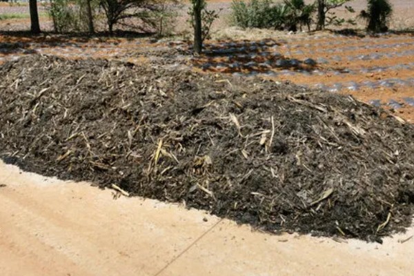 农家肥害虫如何去除，每立方米拌入1公斤辛硫酸