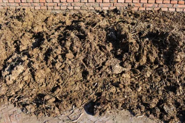 农家肥害虫如何去除，每立方米拌入1公斤辛硫酸