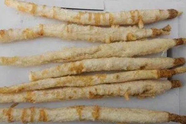 沙参有哪些种类，常见的有南沙参、北沙参等