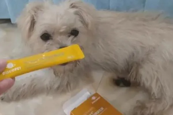 狗身上痒一直抓如何处理，细菌感染可使用抗菌消炎类药物