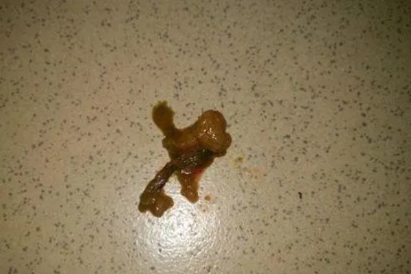 狗身上痒一直抓如何处理，细菌感染可使用抗菌消炎类药物