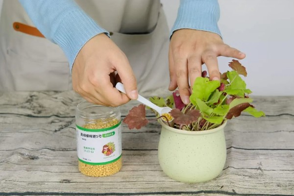 立春前能施肥吗，能施肥