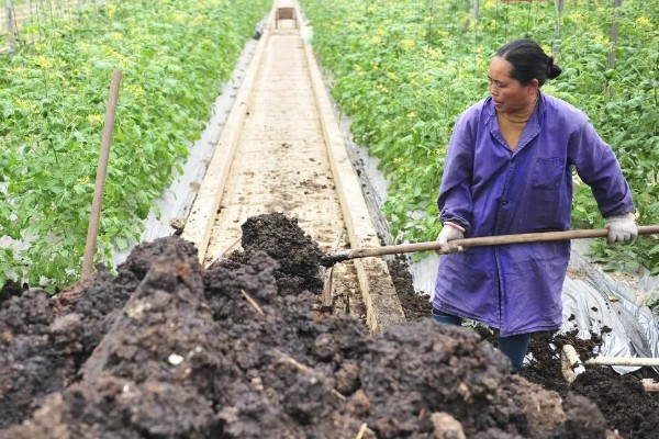 立春前能施肥吗，能施肥