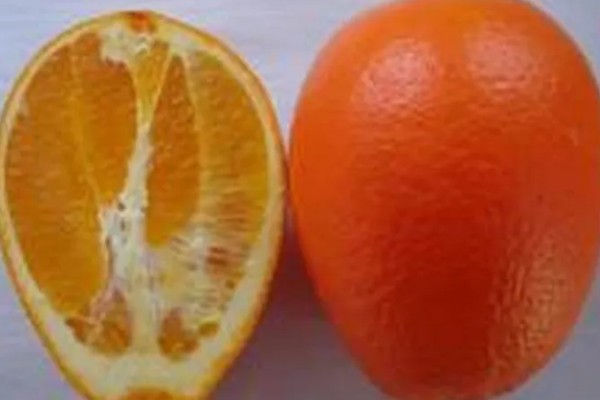 林娜脐橙的产地，原产美国加利福尼亚州