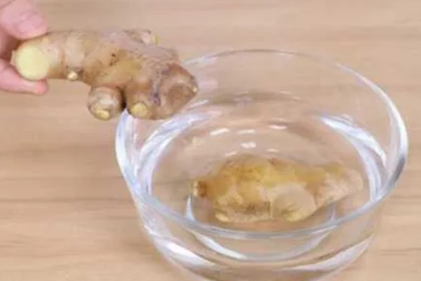 姜种的催芽方法，把温室内的温度保持在15℃左右