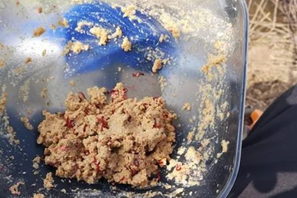 初冬钓鱼用什么饵料，推荐香腥、浓腥味等饵料