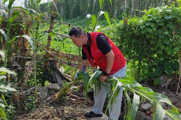 果蔬带土移栽为什么成活率高，保护了幼根和根毛