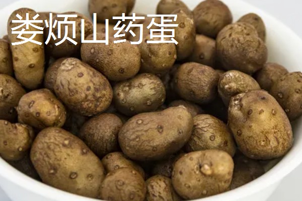 山西省河曲县的特产，河曲开河鱼久负盛名