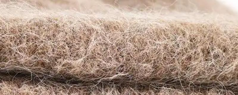 羊驼毛与羊毛有什么区别，组织结构、特性等方面不同