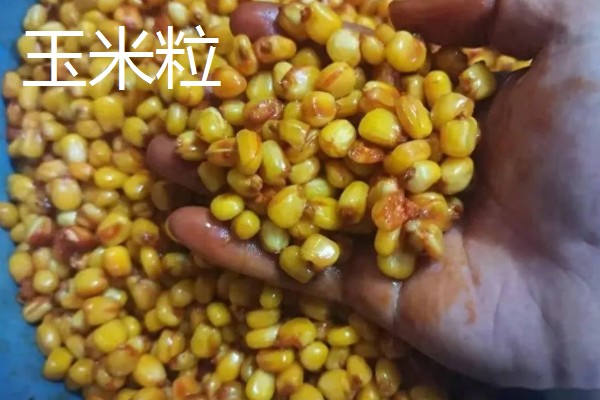 野钓鲤鱼饵料可以自制吗，可以尝试自己制作