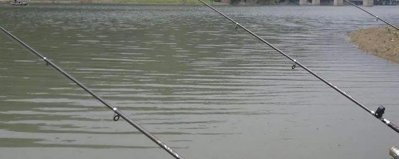 钓鱼怎么绑子线，常用的方法就是用八字环来绑