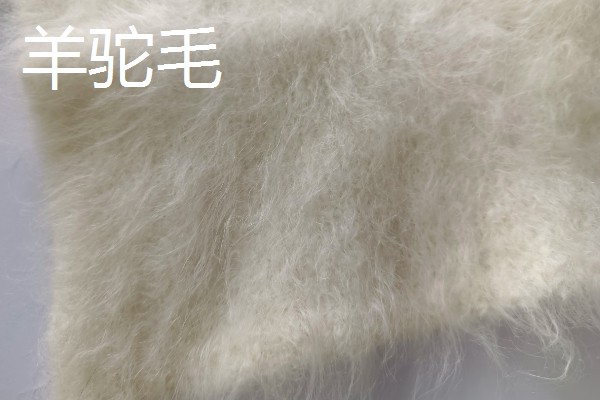 羊驼毛与羊毛有什么区别，组织结构、特性等方面不同