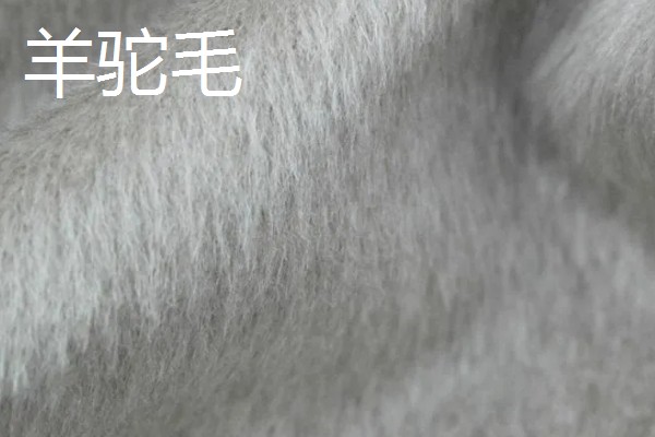 羊驼毛与羊毛有什么区别，组织结构、特性等方面不同