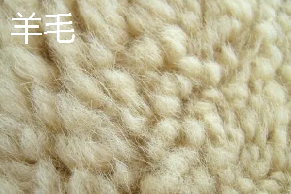 羊驼毛与羊毛有什么区别，组织结构、特性等方面不同