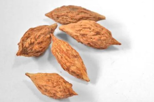 枣核可以种出枣树吗，枣核能种出枣树