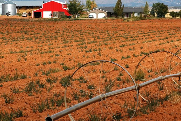 地中海型农业的区位优势，当地的地势低平且土壤肥沃