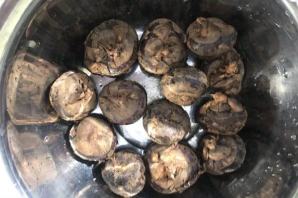 马蹄的种植技术，应和其他作物轮作2-3年