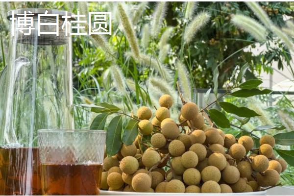 桂圆是不是龙眼，二者是同一种果实