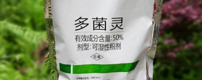 用多菌灵对土壤消毒过多久才能播种，用药浓度低只需间隔1天