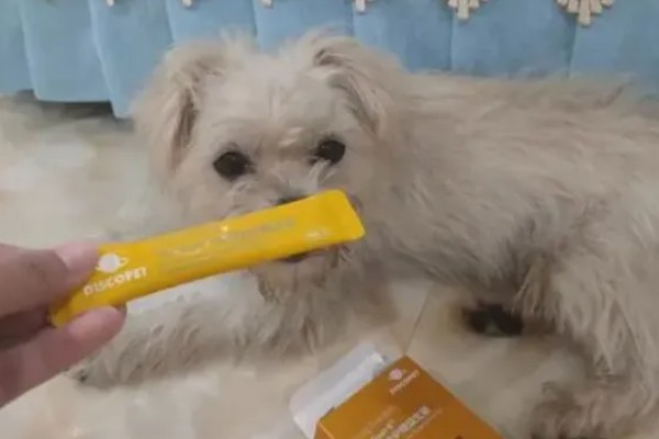 预防狗狗拉肚子的方法，每天要定时定量喂食