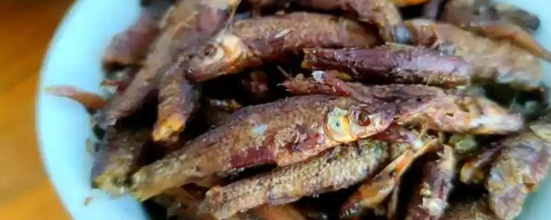 河北武强县的特产，有鲈鱼焖金饼、天鹰椒等