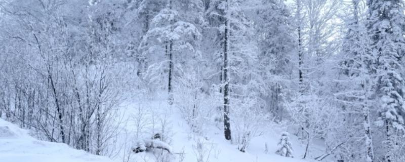 立冬是什么意思，代表着冬天的来临