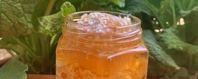 油菜花蜜结晶的状态，呈白色的细粒状或油脂状