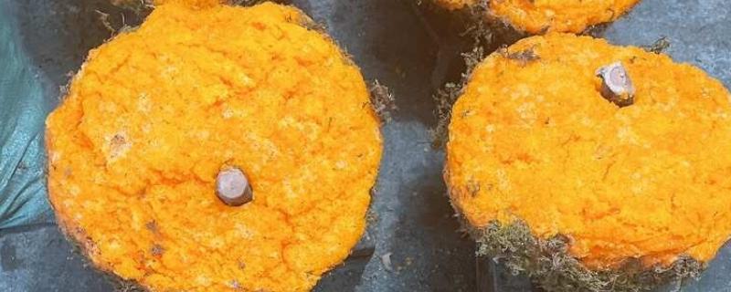 石蜜是如何形成的，是甘蔗汁经过太阳暴晒后形成的原始蔗糖