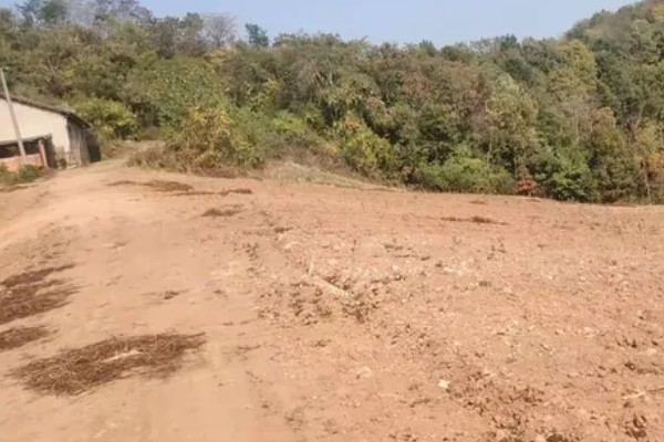 天麻蜜环菌种的培育方法，要在菌材的缝隙中放满菌种