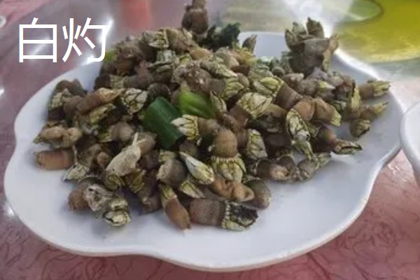 狗爪螺的价格，大约在500-1500元一斤