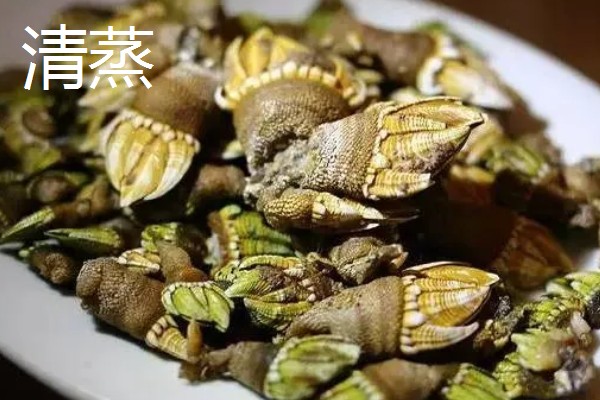 狗爪螺的价格，大约在500-1500元一斤