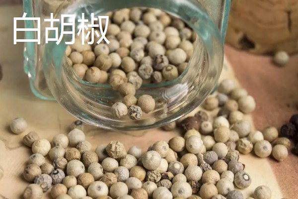 胡椒的种植方法，定植后每株追肥30斤