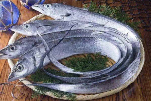 带鱼是什么鱼，又叫做牙带鱼