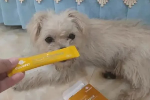 狗狗吃骨头拉不出来如何处理，可以先给它停止喂食