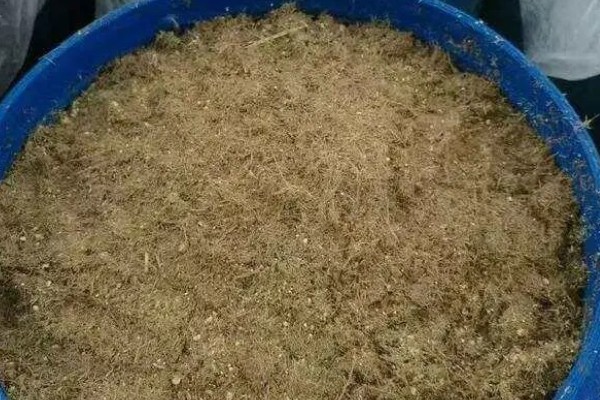 养猪发酵饲料的制作方法，注意不可用打堆发酵的方法