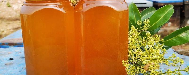 荔枝蜜的特点，颜色多呈琥珀色