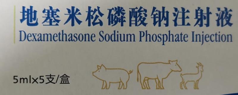 地塞米松能不能治疗猪鼻炎，每天使用2次以上有较好的疗效