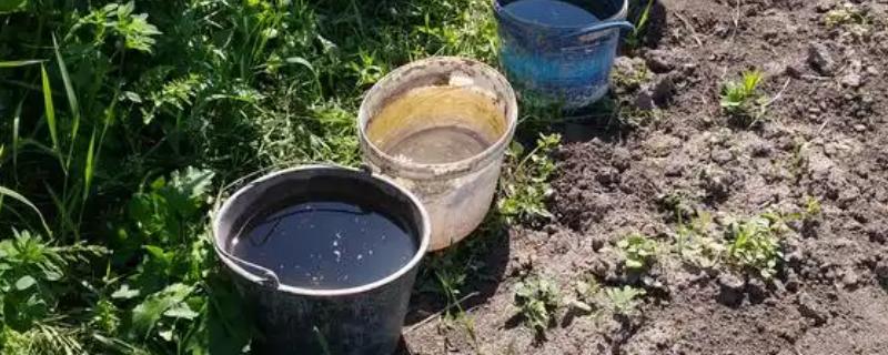 炸过东西的油能当肥料吗，可以当作肥料