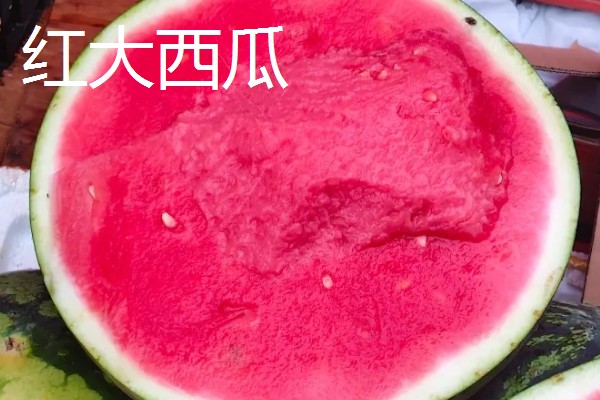 无籽西瓜的种子从何而来，使用诱变培育法经过杂交获得