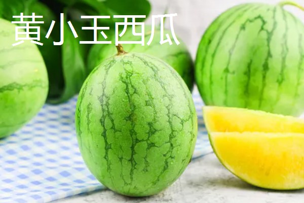 无籽西瓜的种子从何而来，使用诱变培育法经过杂交获得