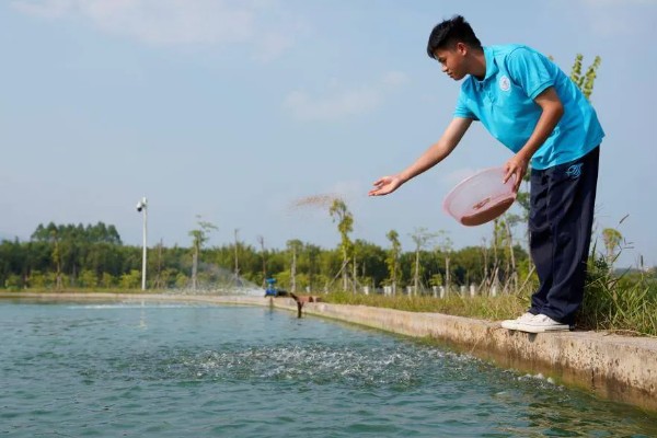 梭子蟹的养殖方式,一般在5月下旬至6月中旬放养