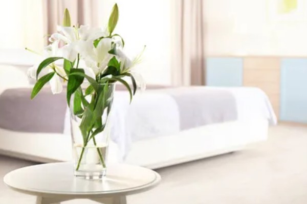 百合花香气在室内有毒吗，在室内没毒